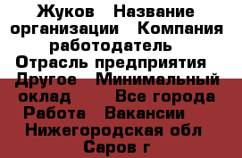 Жуков › Название организации ­ Компания-работодатель › Отрасль предприятия ­ Другое › Минимальный оклад ­ 1 - Все города Работа » Вакансии   . Нижегородская обл.,Саров г.